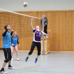 Schmalibus (Lila) : Volleyballverein 70 Meiningen II