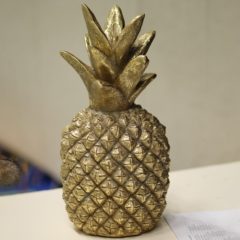 23. Fußball-Hallenturnier um die „Goldene Ananas“